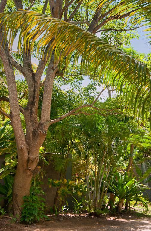 Gardens Retreat Villa Pereybere Beach Luaran gambar